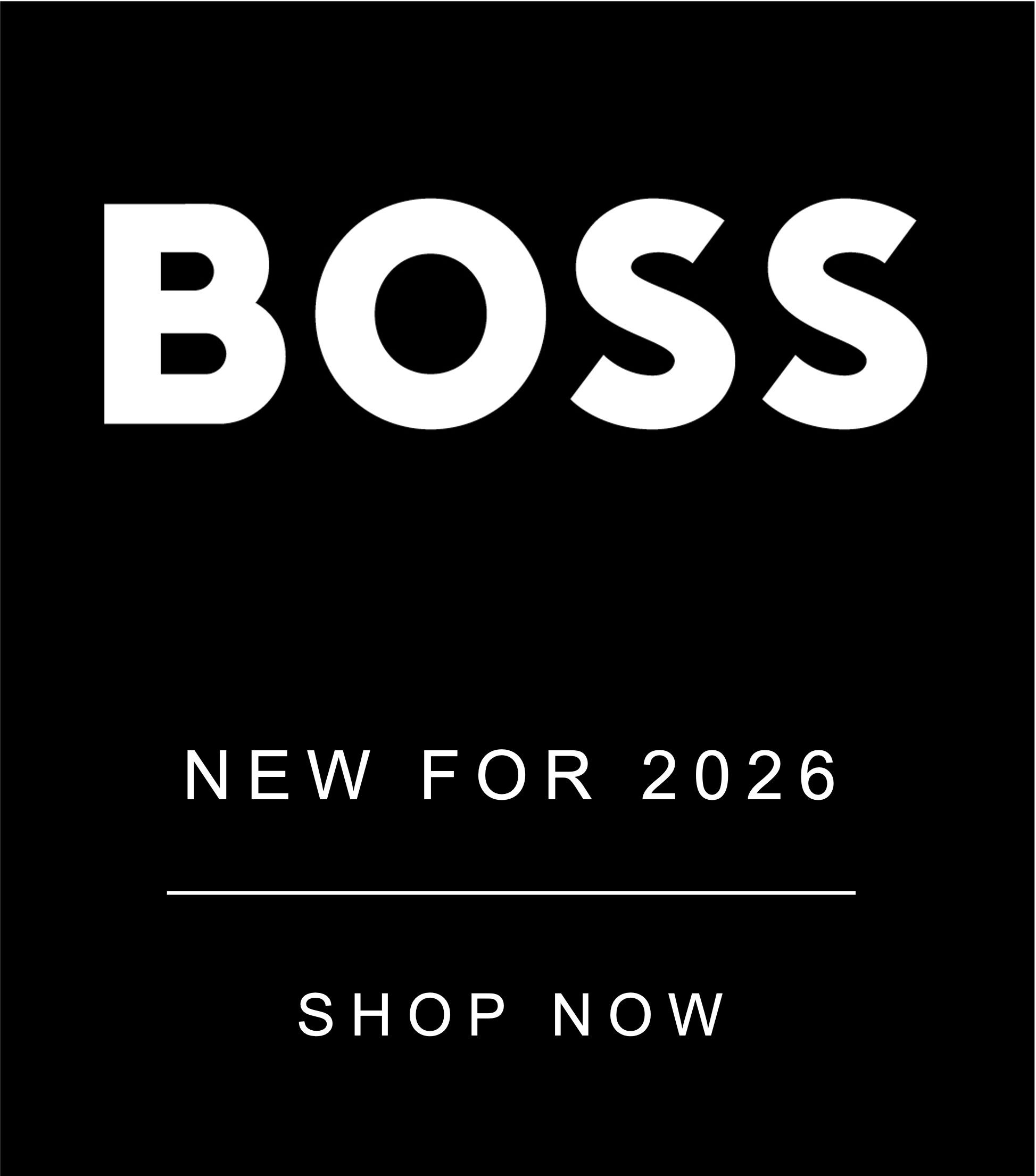 BOSS LOGO HOME PAGE PIC
