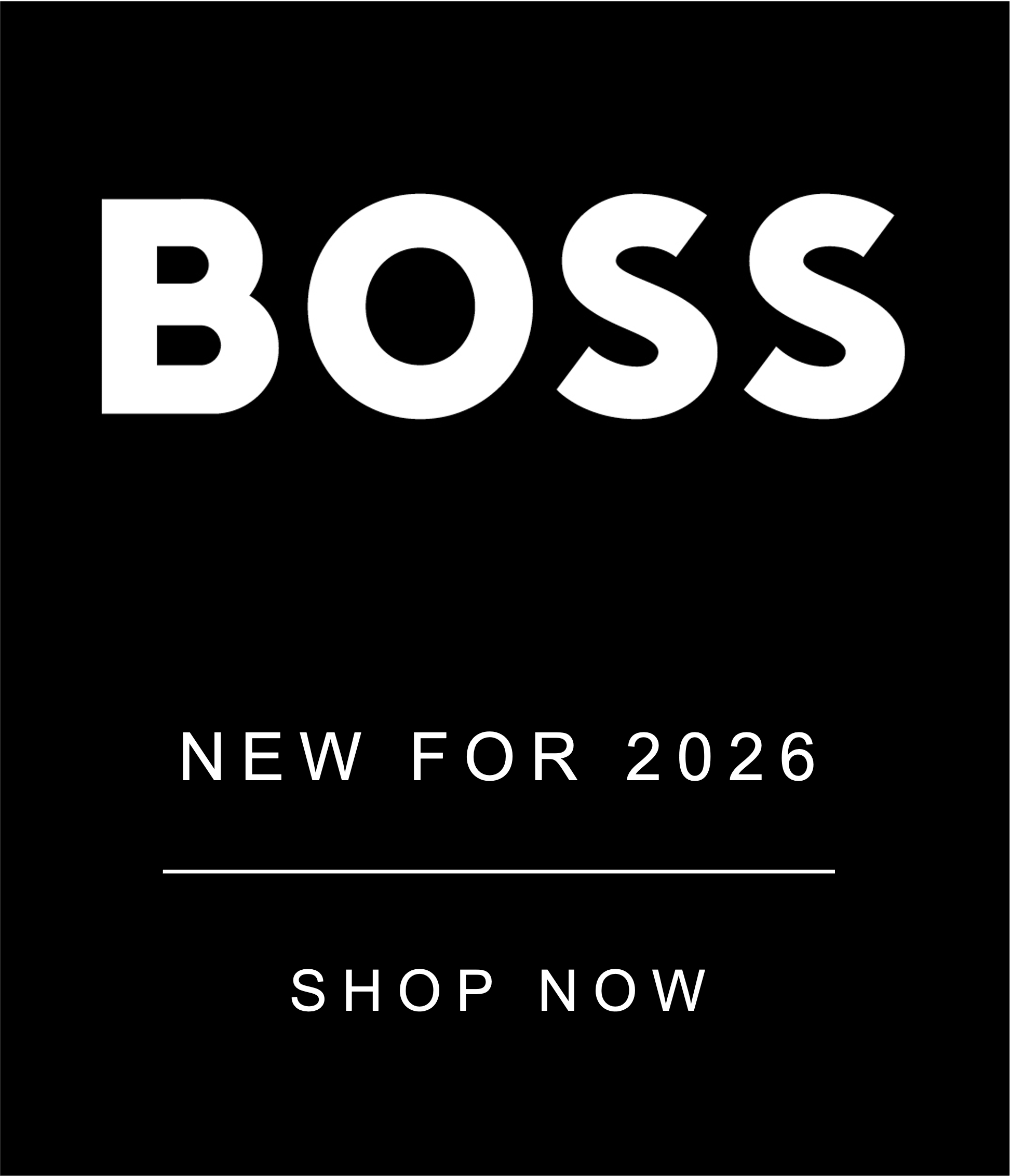 BOSS LOGO HOME PAGE PIC